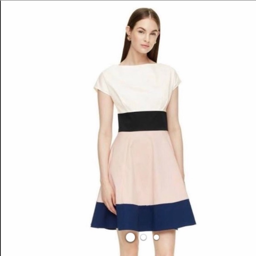 Kate Spade Fiorella Color-block Dress